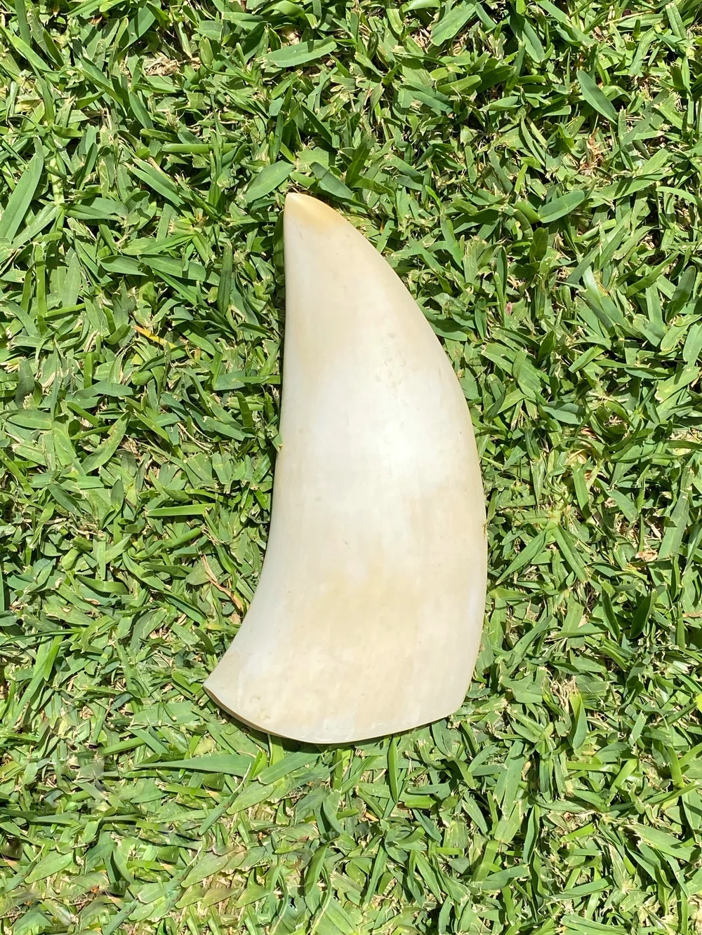 023EE3E5-ABA4-47F9-B8B1-495EF5B2A131