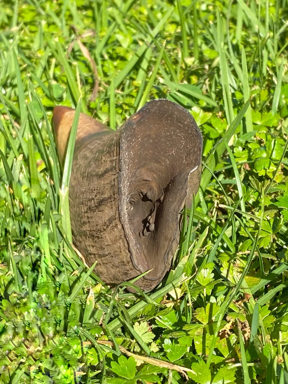 0EFE5C35-30F4-4164-9BF0-05B990A6B16D