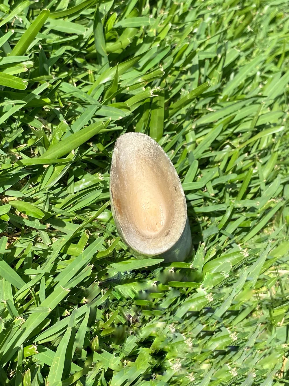 13CFA2A4-E023-43E1-8B8D-208C9D615C93