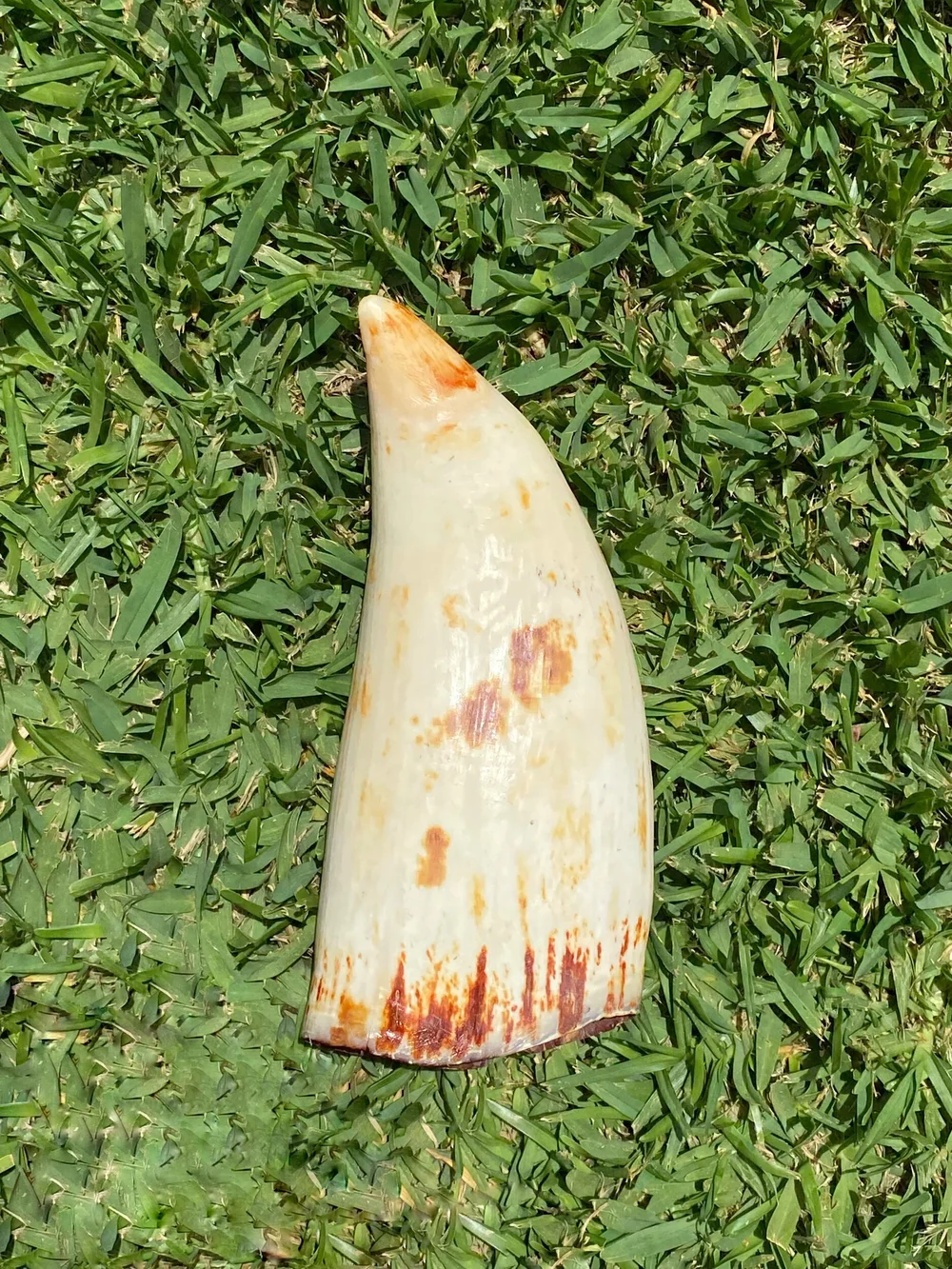 14055211-01A9-4206-8E9B-919678139AC3 (1)