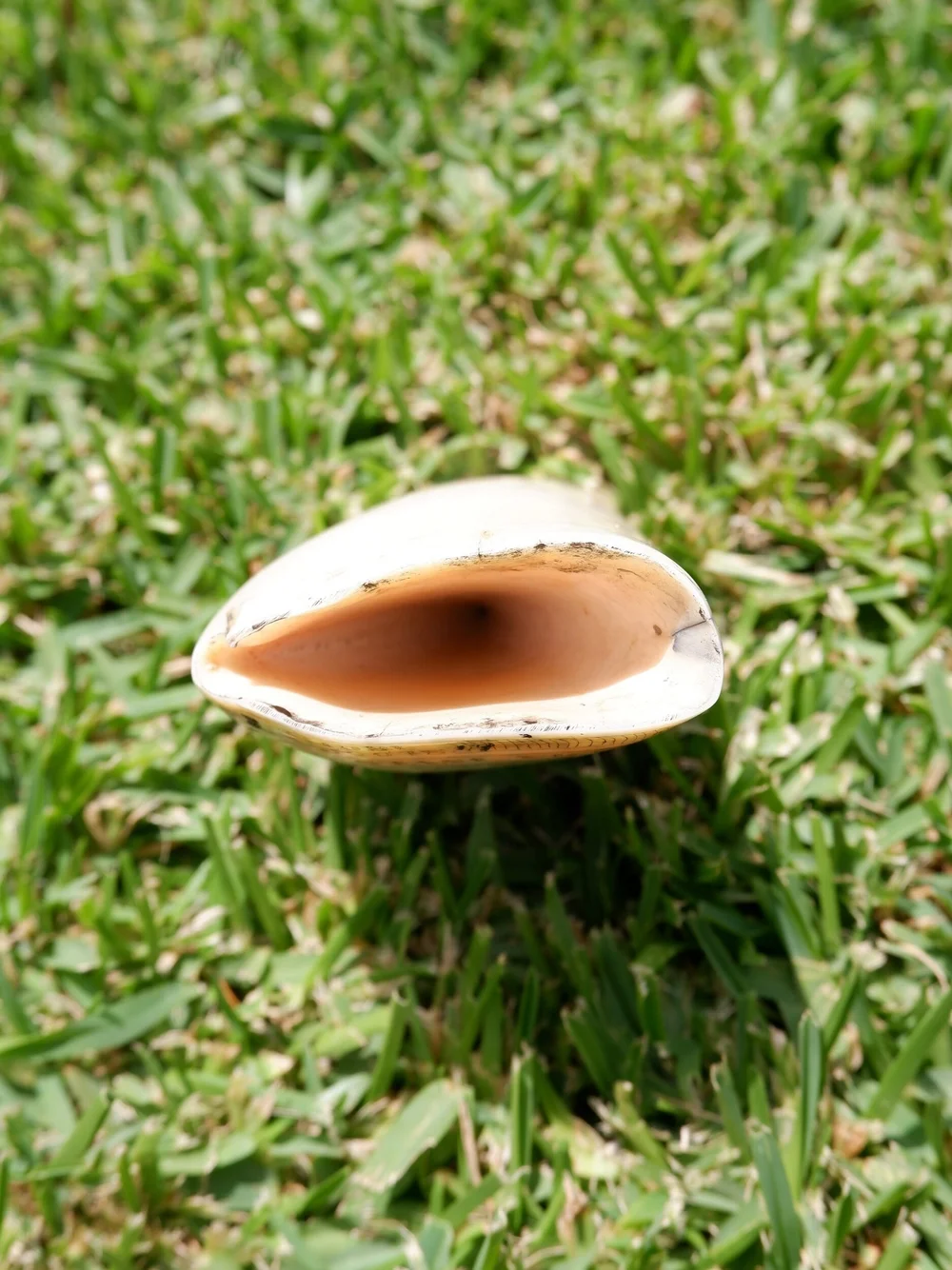 1D8C4E79-905D-45A6-A105-FBFC16268482