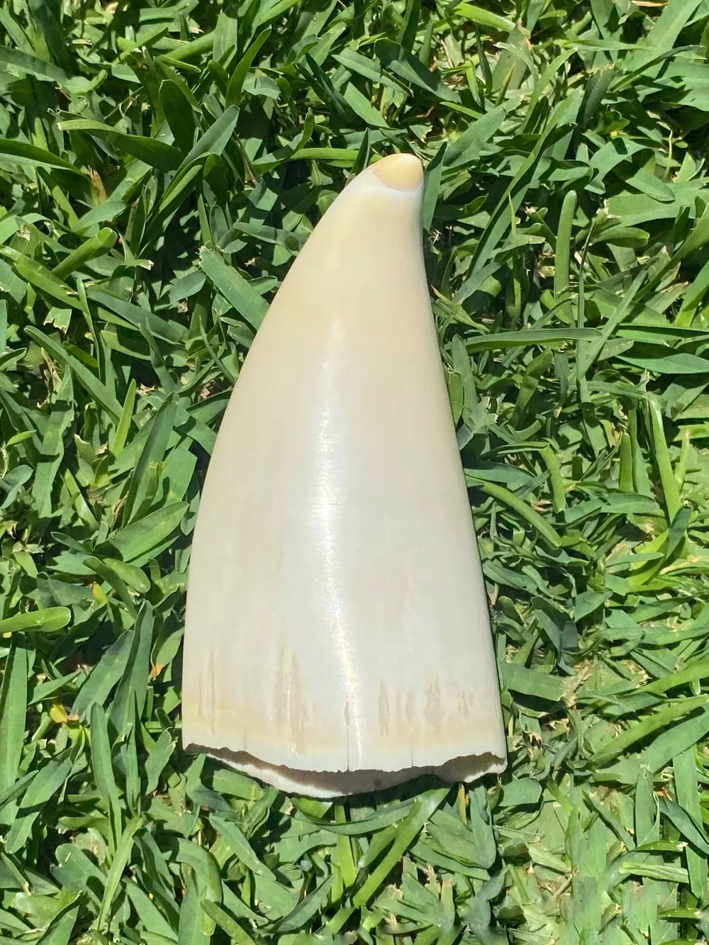 3035A5B9-AFB2-4036-A5A6-EFCCE442C977 (1)