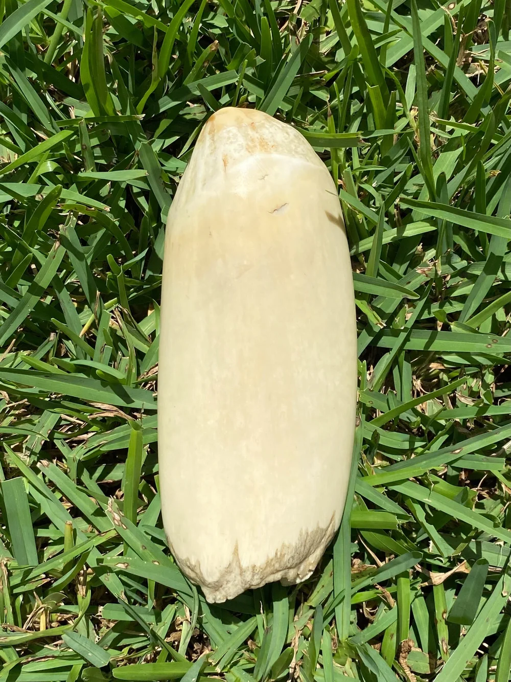 325BA487-92F4-41B6-B716-78D70076127A