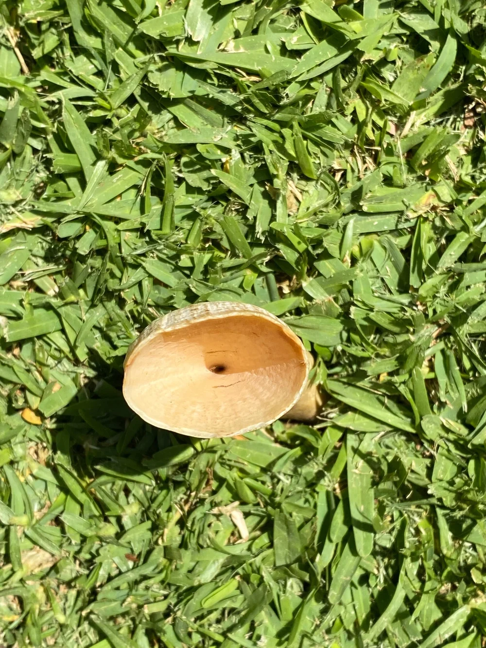 352EBB11-8162-4C8D-8F5E-4AD8A853B508