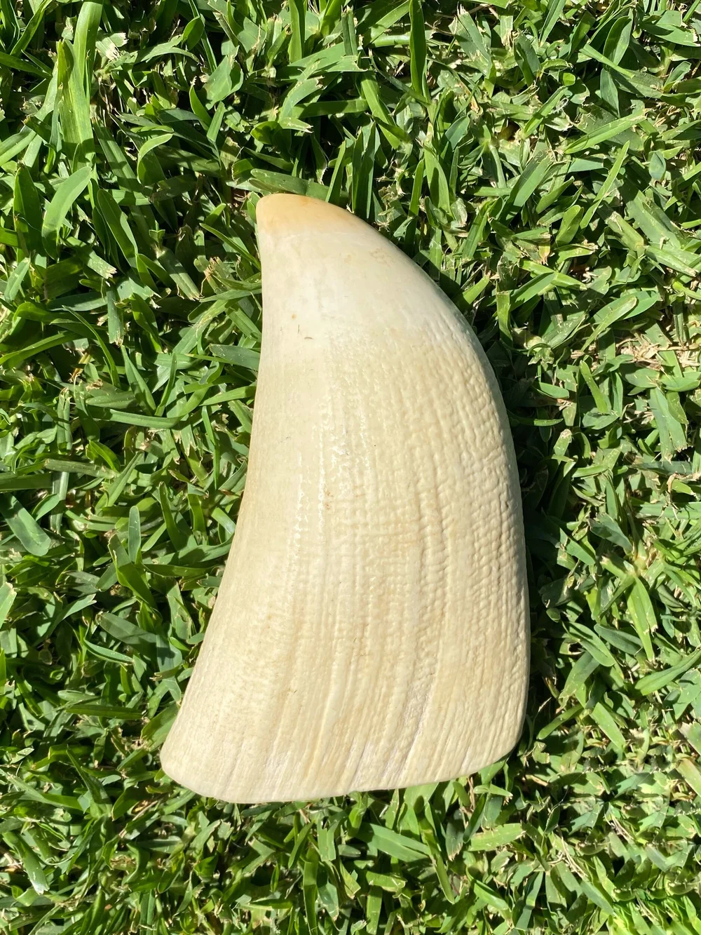 35696224-192A-4430-B7F4-4EF081B3DF29