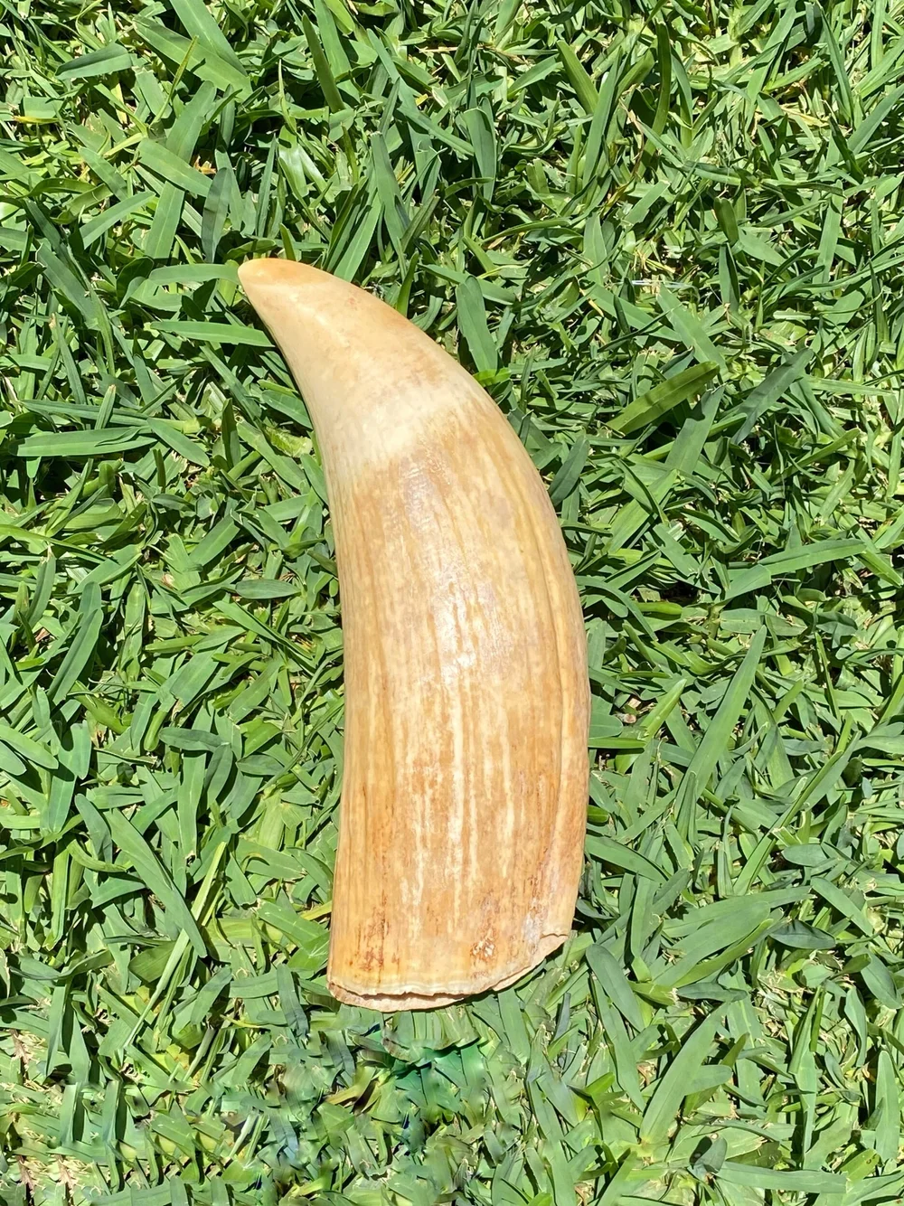 3A88FE6C-F2D7-48A2-9C54-3FCAE7382795 (1)