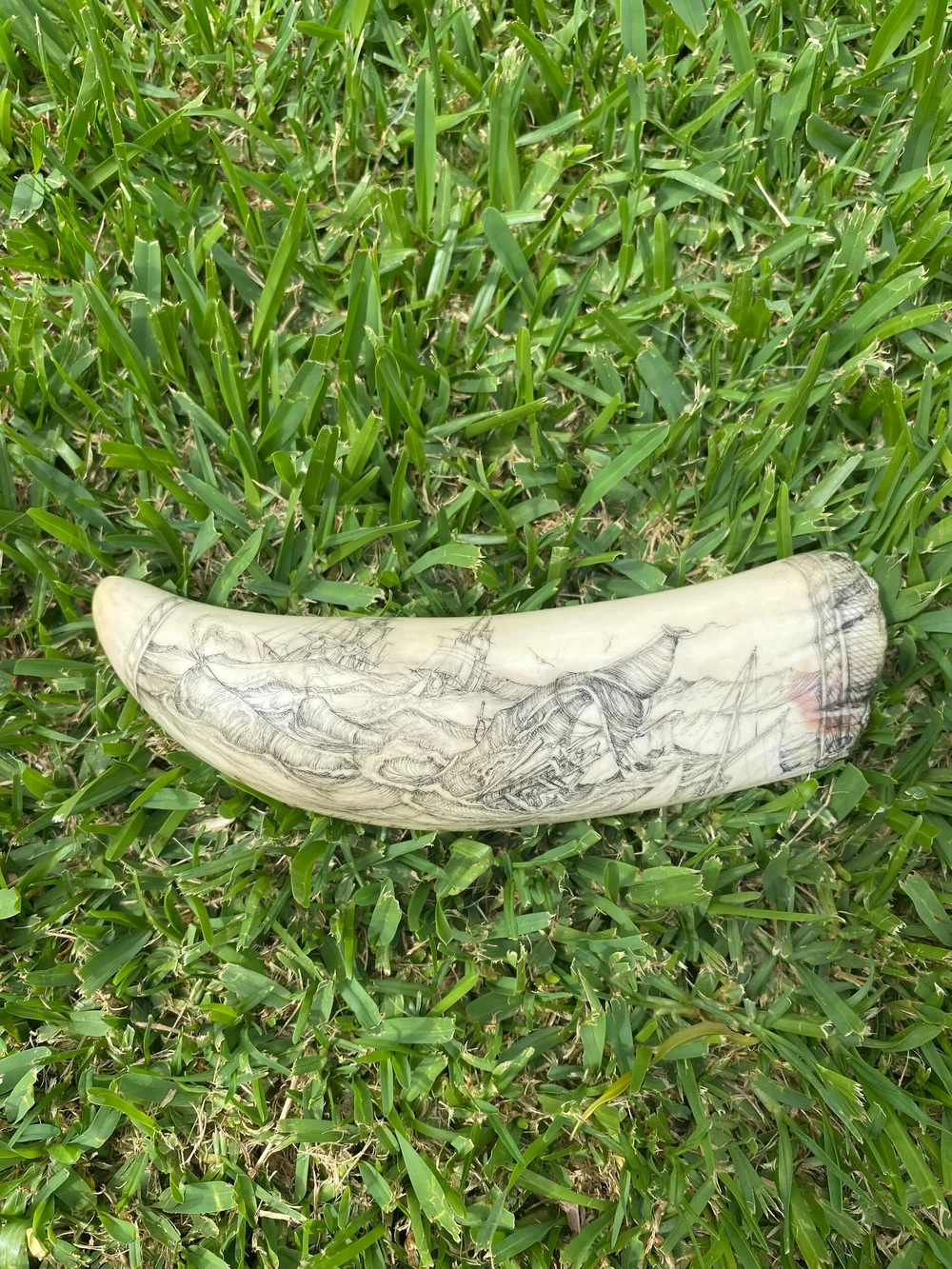 442DBC37-AE7D-4504-A559-0BC03927131D Gallied To Windward