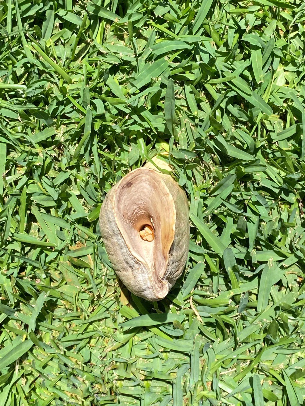 44EFC609-C6BA-4481-85B9-A8594FFE4A3F