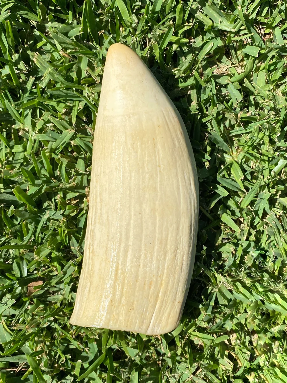 48357EAF-736E-4907-8F82-DC1F391464FD (1)