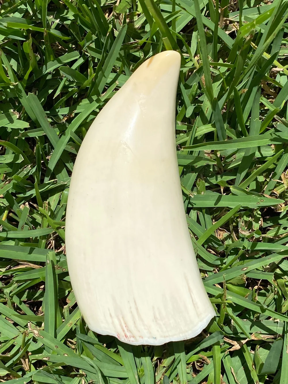 4C9CE564-0001-48F6-B28A-83B29E989406