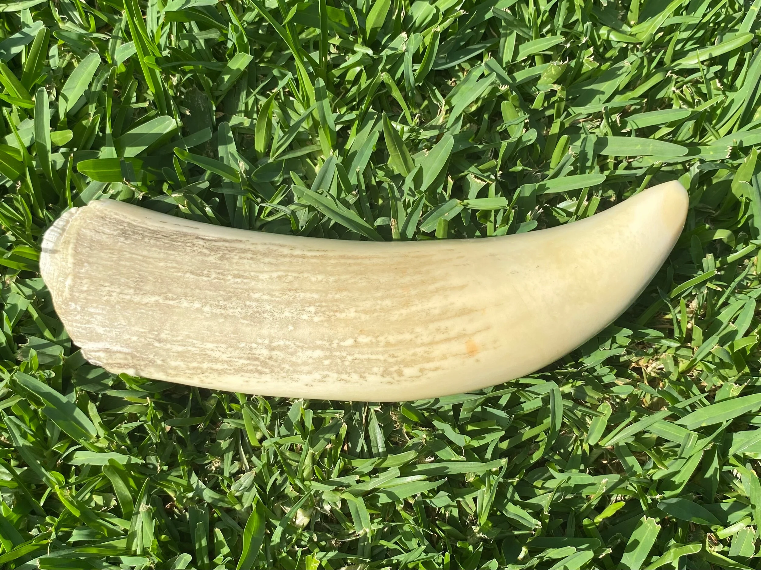 6076D291-2CF5-4066-BBF4-AD4EAB496944