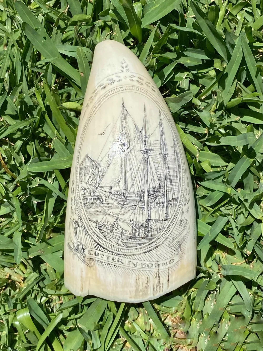 674D975F-0ABC-44BD-90A6-0017E3485755 (1) Leviathan