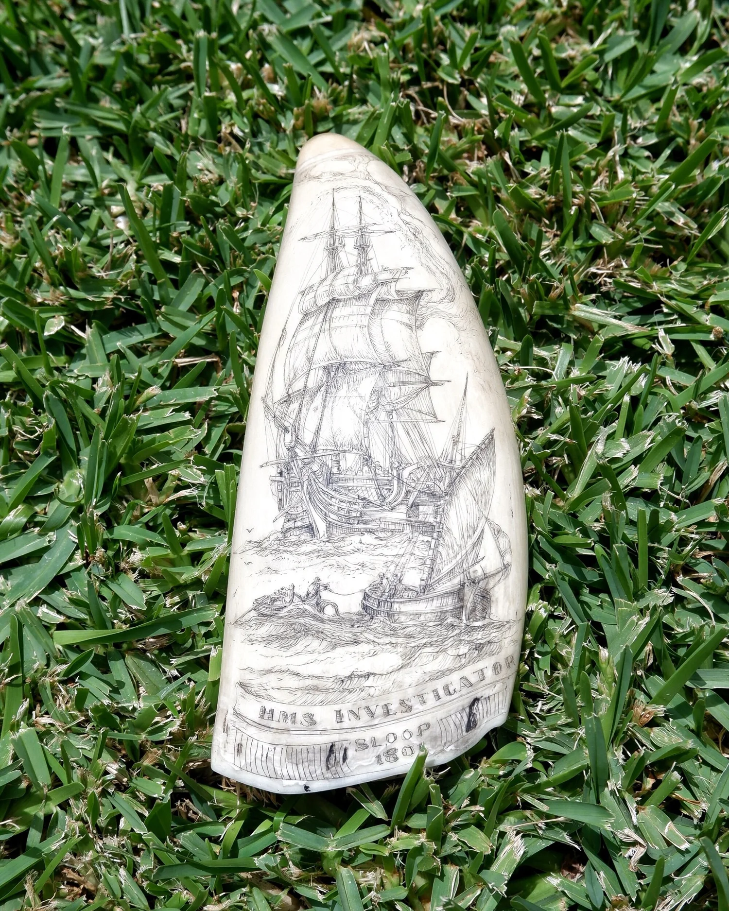 67E26B0C-5BE0-4830-9D18-8C23F78F6B8F Gary Tonkin