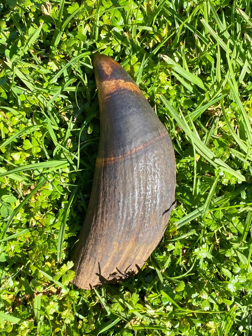 6A7D2E92-3DAE-433A-9F65-7186AE636292