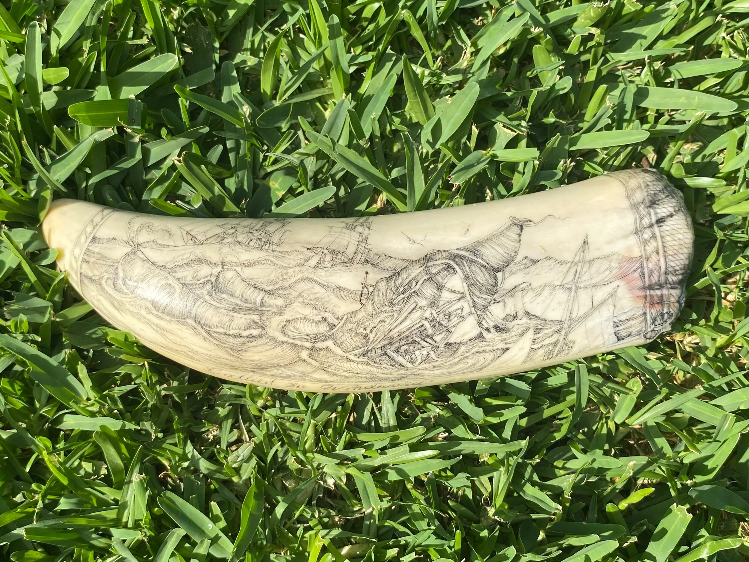 6EC4DFFE-51DD-43C0-93BE-2FA505C09DC5