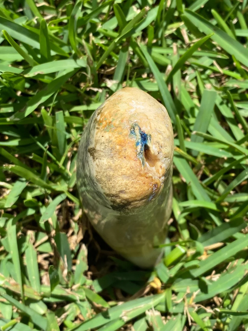 6F13E8C7-7A65-4E68-88EB-0B8B762F3664