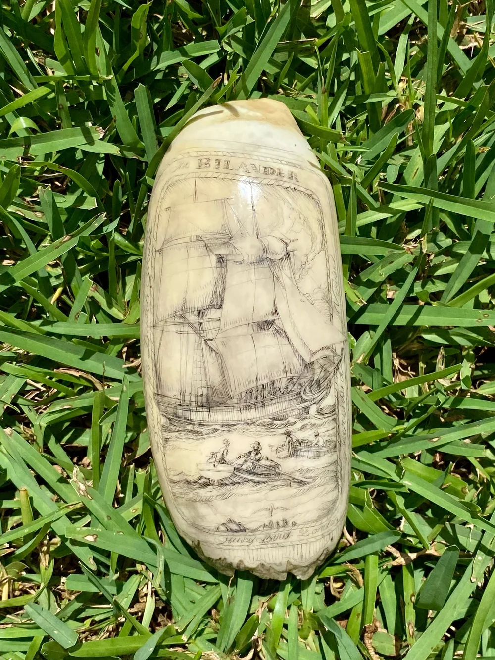 6FF2CC94-FC96-4B6D-9762-F60CDC5FE627 (1) The Bilander