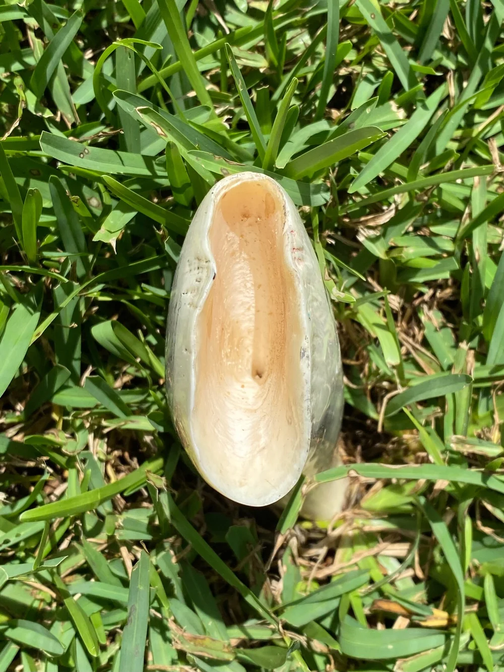 73C9C685-1B08-422E-A8CF-74D97049DA02