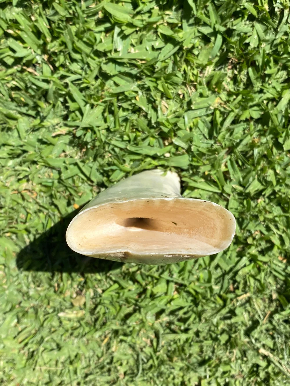 77DCED62-2740-4BD1-B595-A9681553E10D (1)