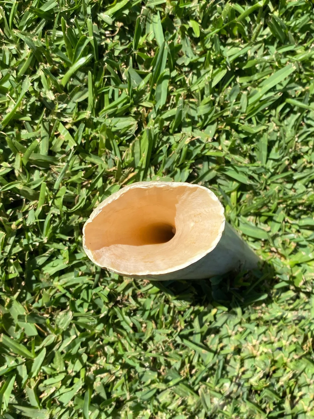 78A68A0D-E8AC-4EA0-A07F-99821F16C3FE