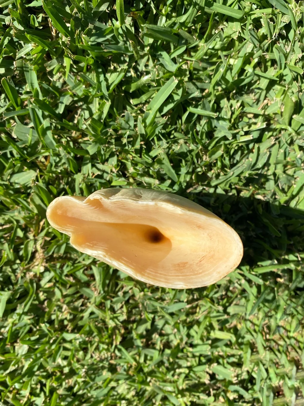 792FAFCD-AC3C-4090-BB49-35EB76509219 (1)