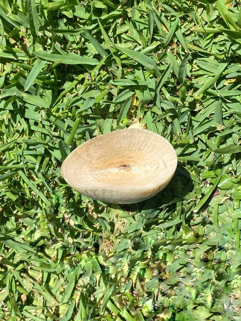 7CA2A481-FD5F-4266-9E2B-0776714B076B (1) Leviathan