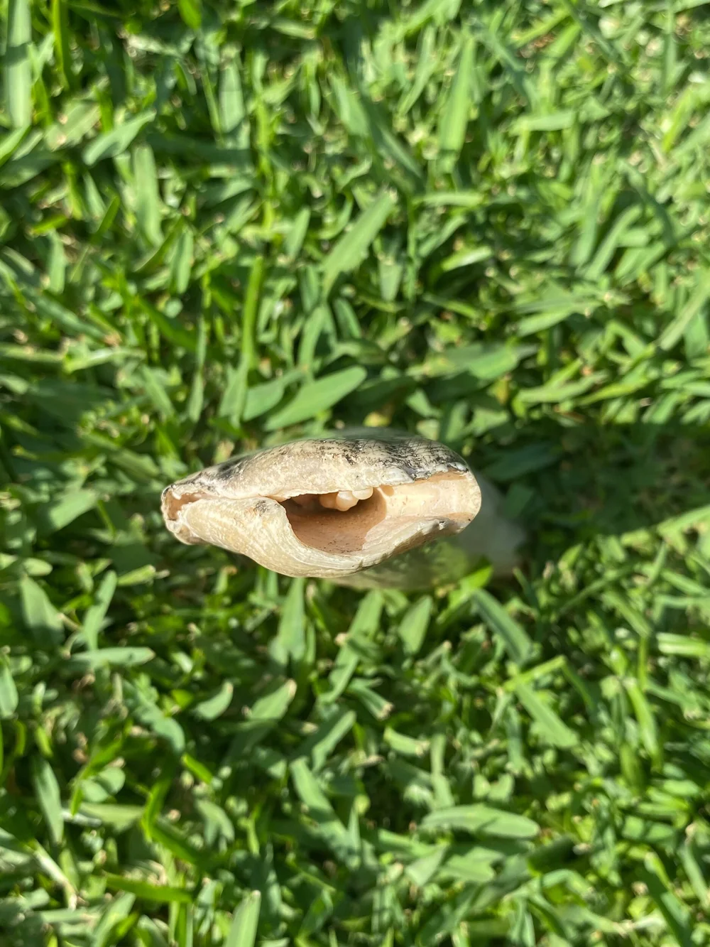 7D3653EB-2E39-4AA9-8830-8855F76F95CD