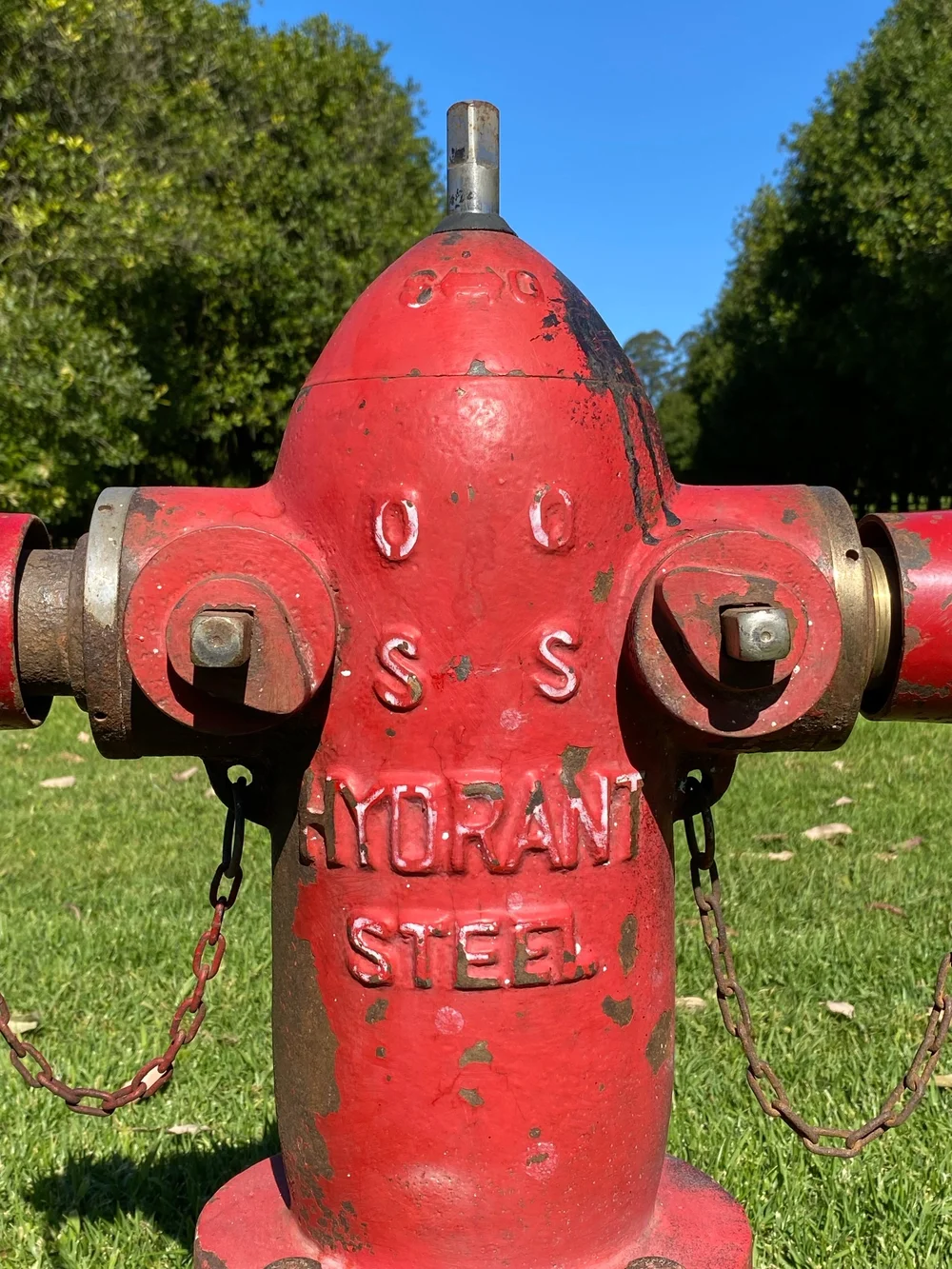 85327067-8264-41D1-9294-9D1A34514018