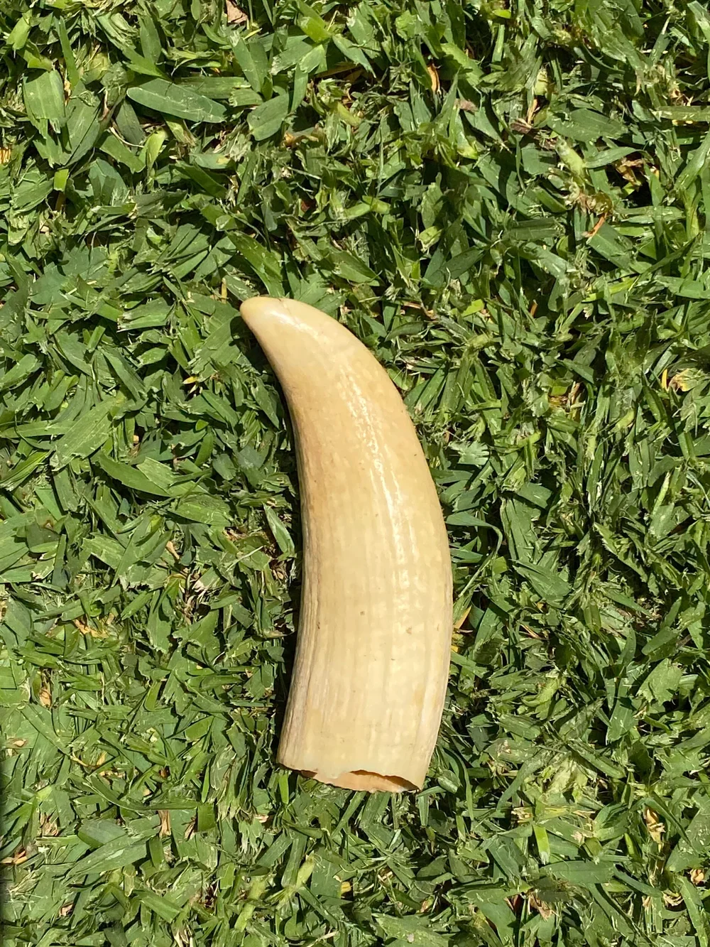 85E8E4CE-1A49-48AE-921B-D2EFC6B08D28