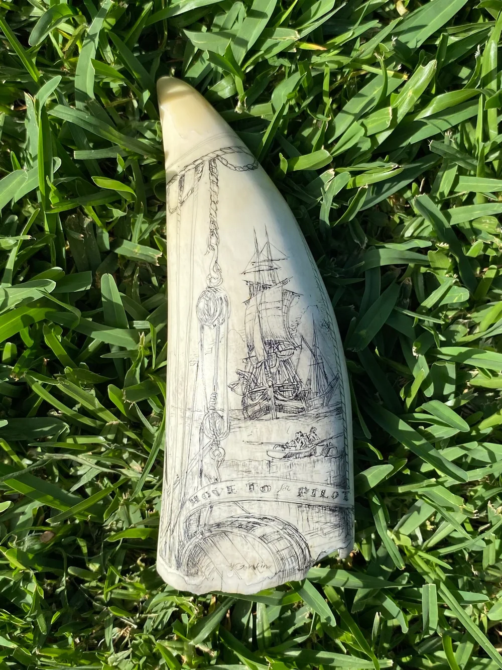 9C5F6D89-C7EA-41AF-B296-AFE86B0724F1 Gary Tonkin