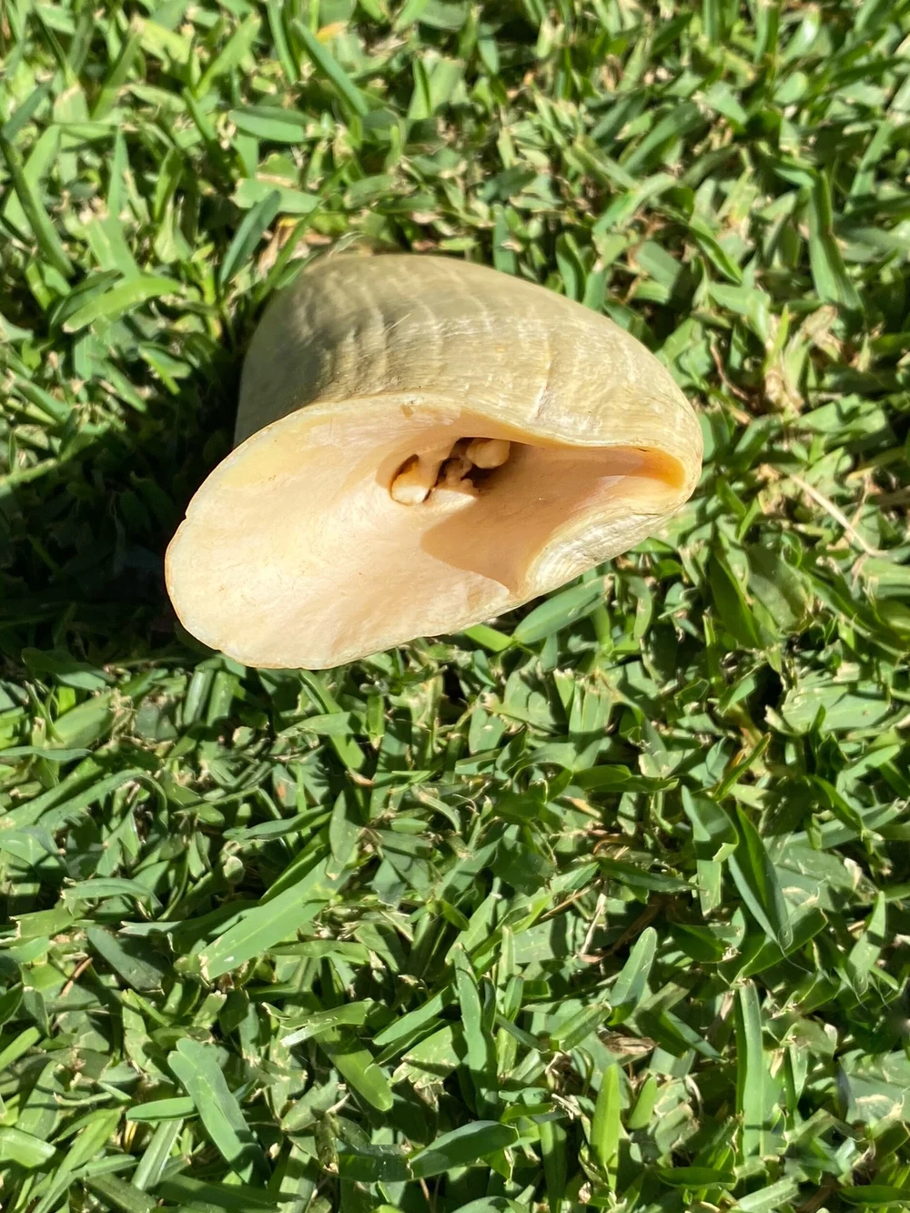 A09A30A4-6300-45E2-8C69-7D34B0A15CE7 (1)