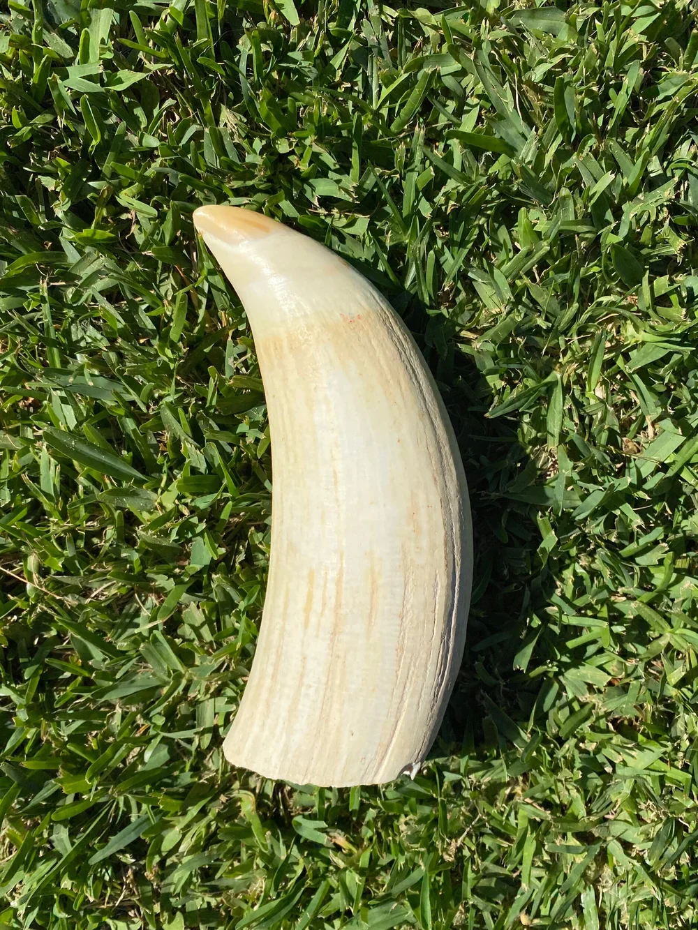 A329CF5E-4071-4125-AF82-A2C71BE4650E