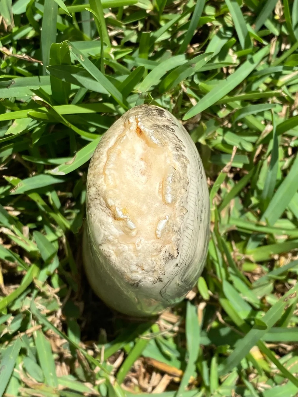 A400BA66-F673-47D8-871A-064884E00127