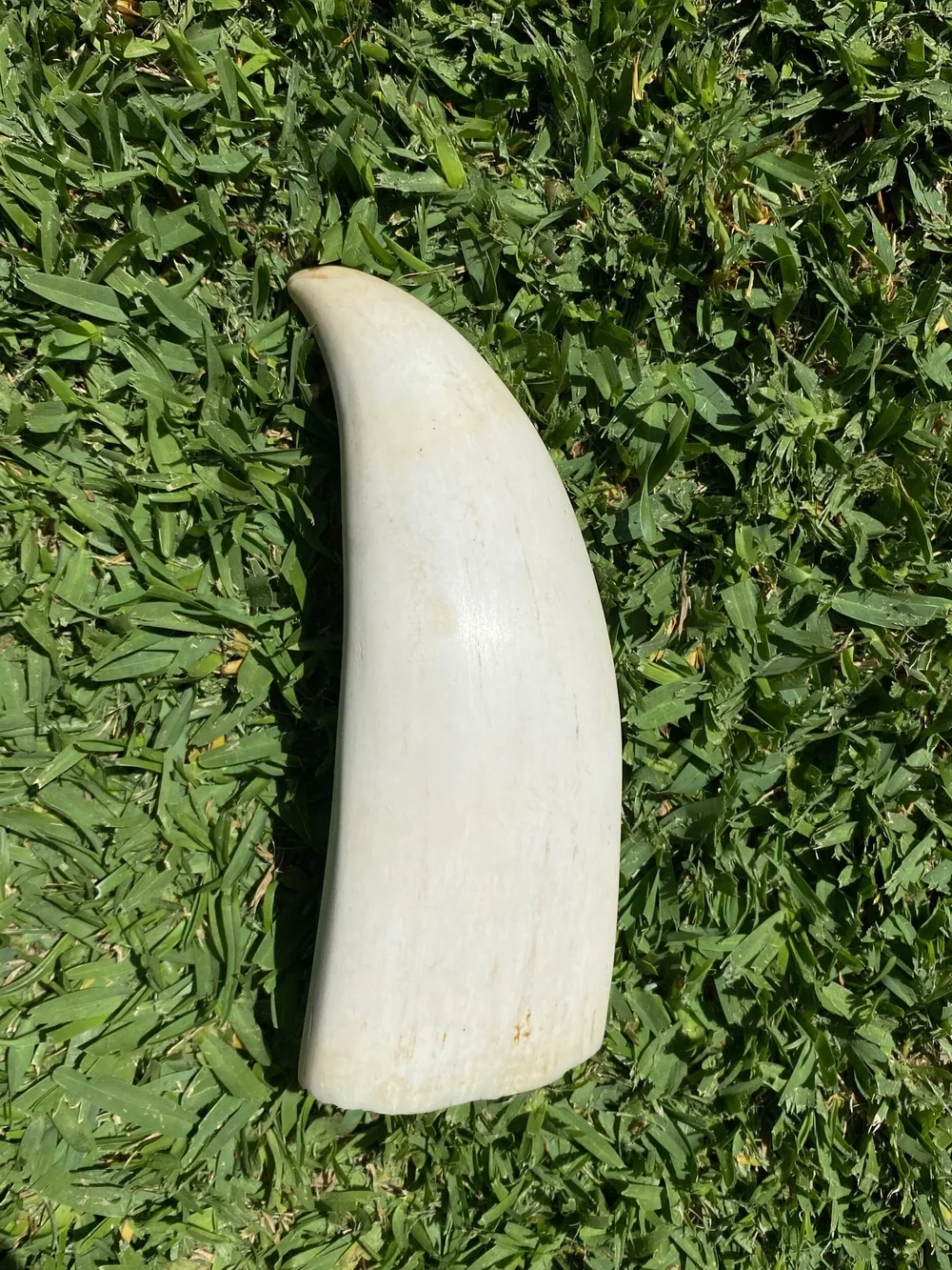 A482753B-21C3-4D7B-ADF8-A651961C57D4