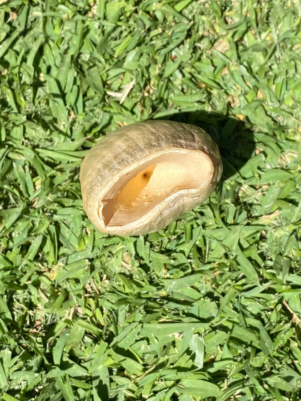 A88CA38E-3C31-4777-A238-FA542C5316F1 (1)