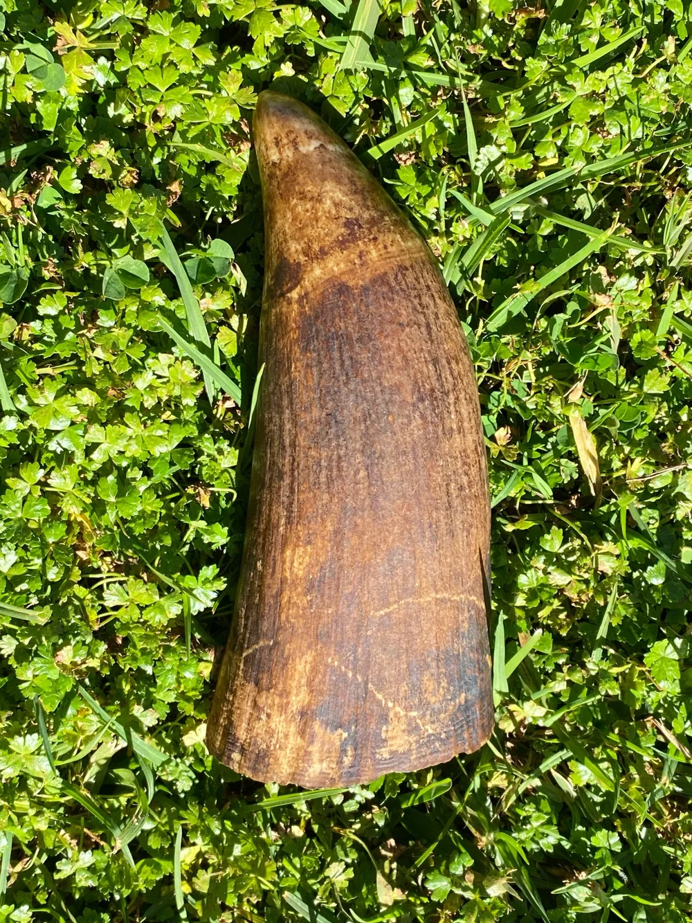 AA16E2B8-6CC6-482A-977C-9530901993D2