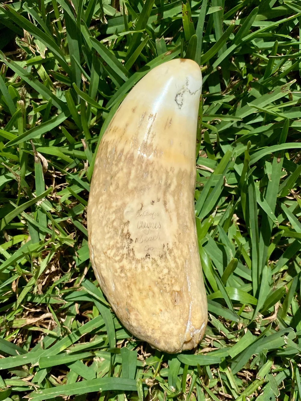 AD55A983-42B6-4B95-A29E-768937B33956