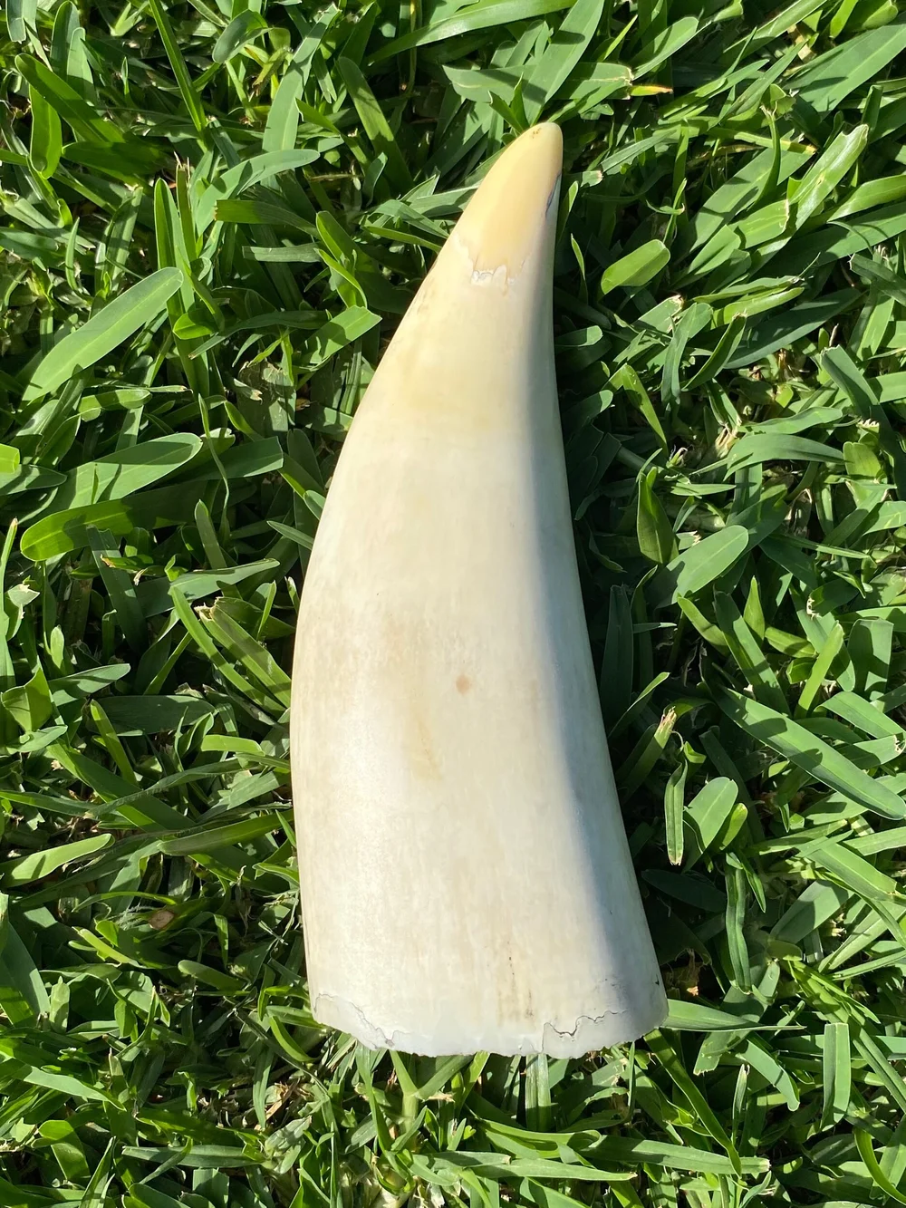 B24D5ADB-9724-450A-96CB-1F6EE117E7E5