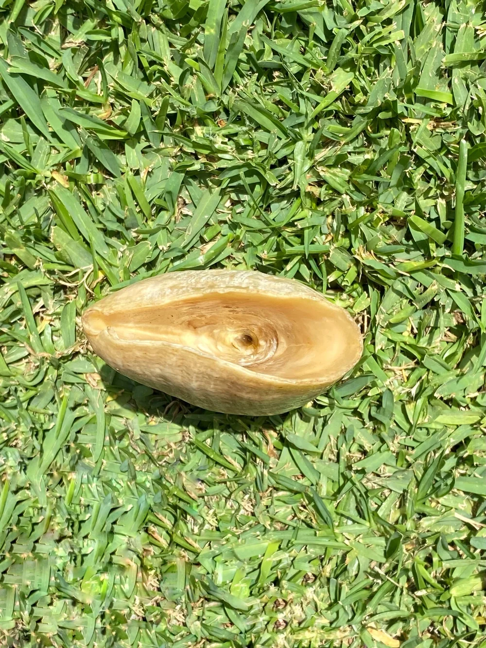 C64CD2C4-9219-4558-B1B6-8EFCF58B5605