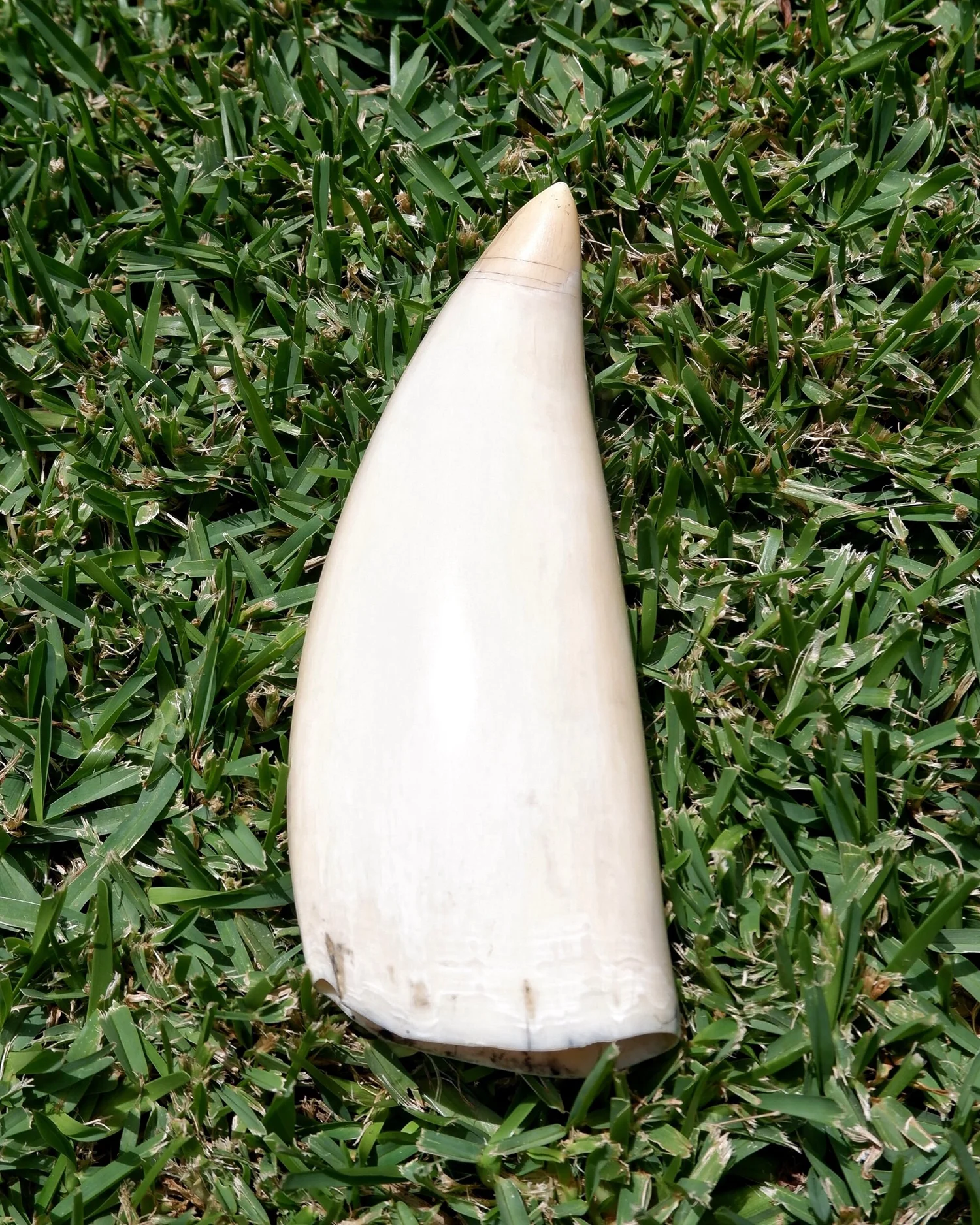 C6CF63C9-73DE-4F04-88DA-331B70934EAD