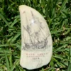 Scrimshaw on Sperm Whale Tooth