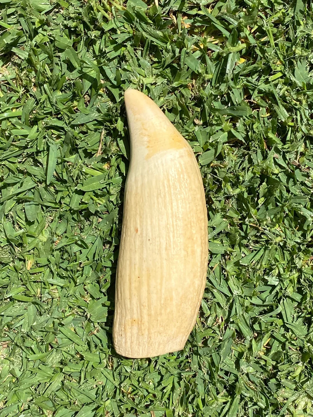 D37AAC33-0D26-4F3D-AC3A-B752B8139FAA