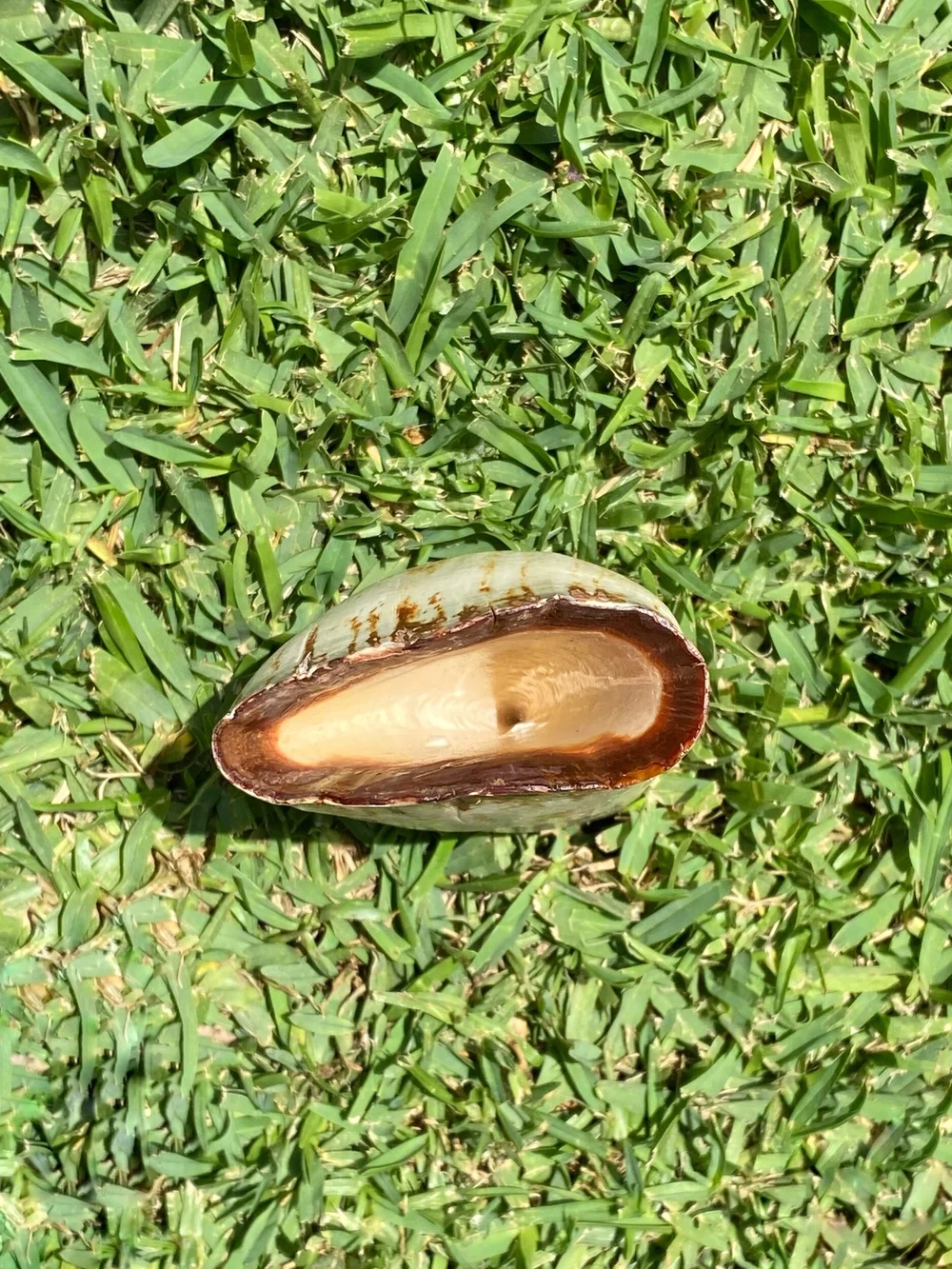 D76983BC-9A64-48A0-BB4C-B883E1E907EA (2)