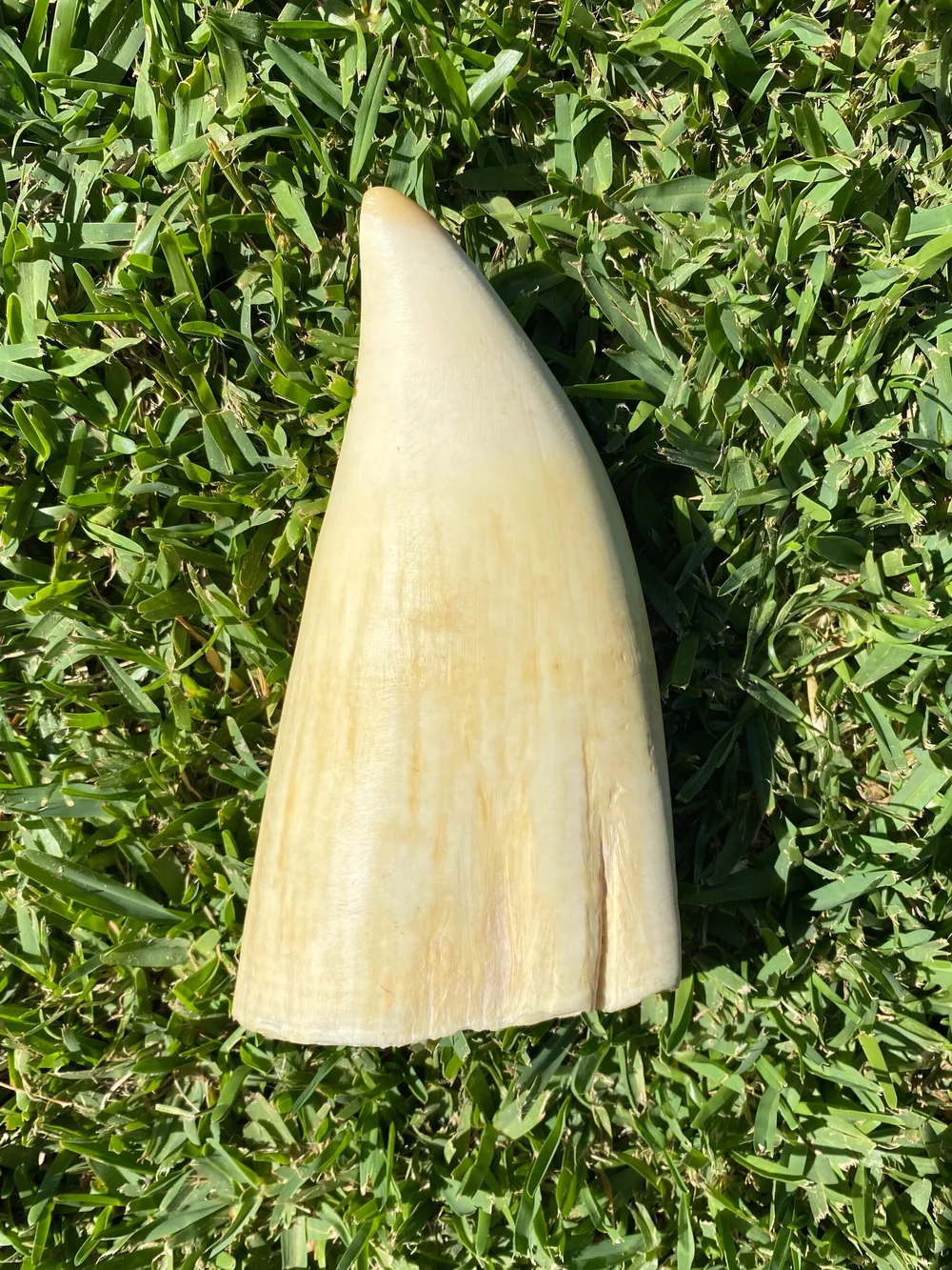 DC2D204B-C57E-4E0A-AC3A-8CF29546B13C (1)