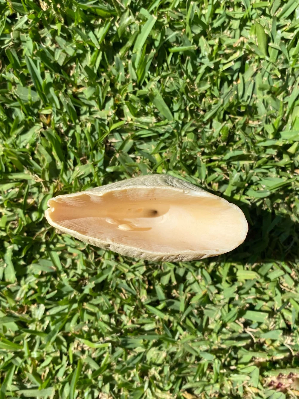 DEB098DD-62FB-4238-A6A4-486A07FF07F8