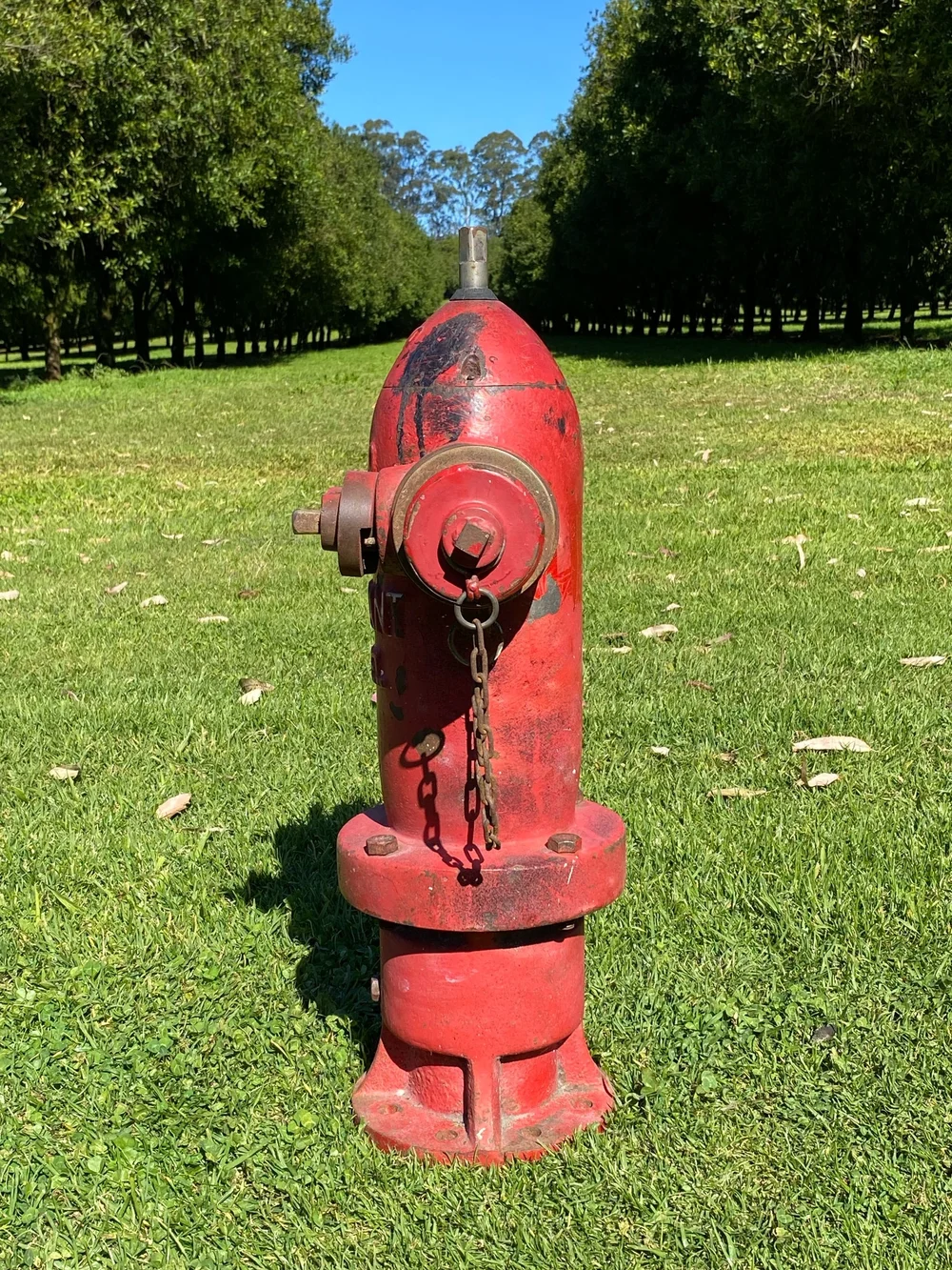 E2261234-EA2E-4609-A7AA-ABF1829CA77E (1)