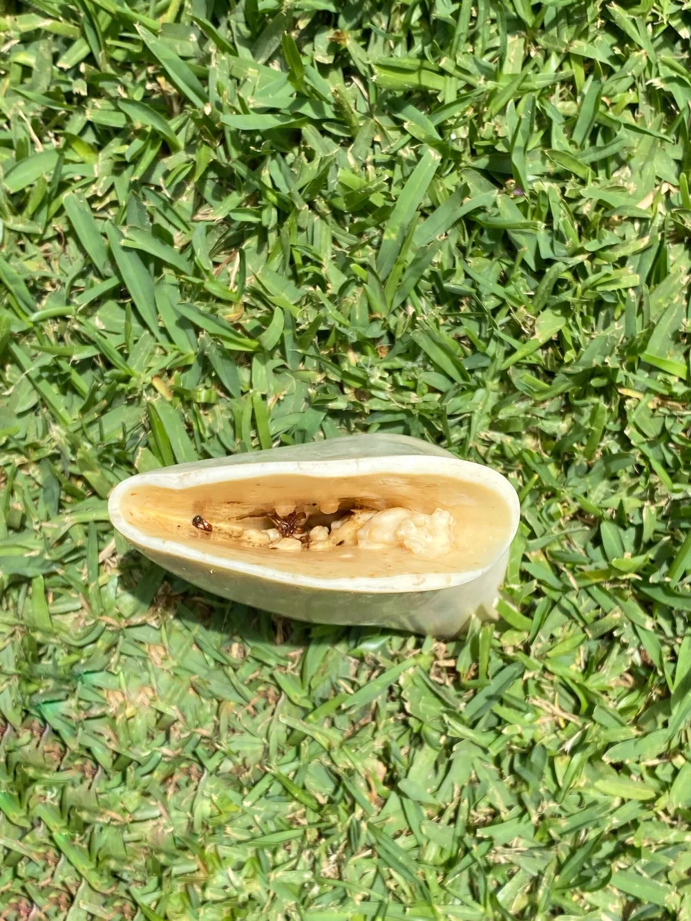 E81EB9F7-5E79-4685-A14A-FF1772B7574A