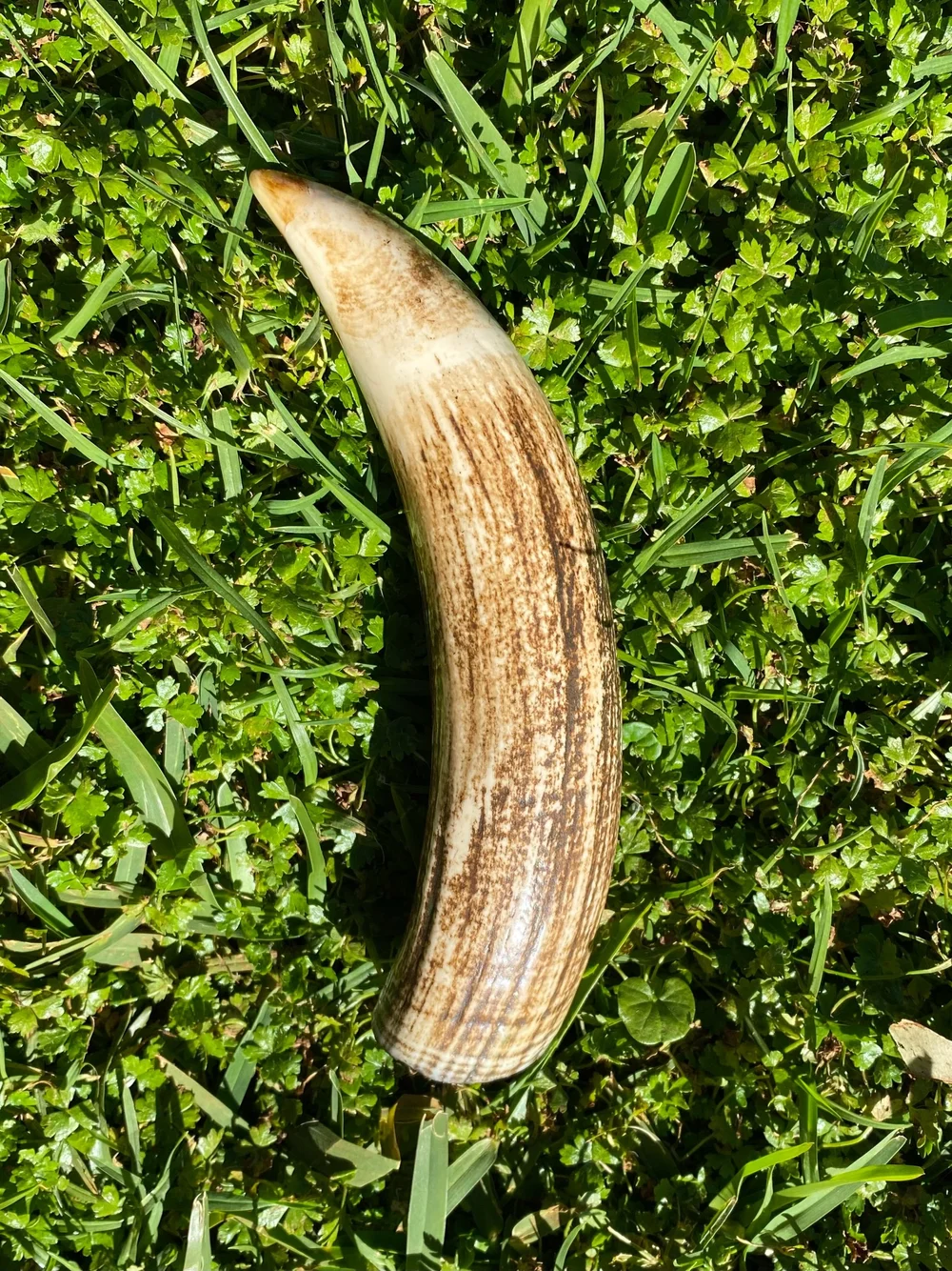 EC08DEFE-98DA-4D98-B0D0-87AD5C7A43FB