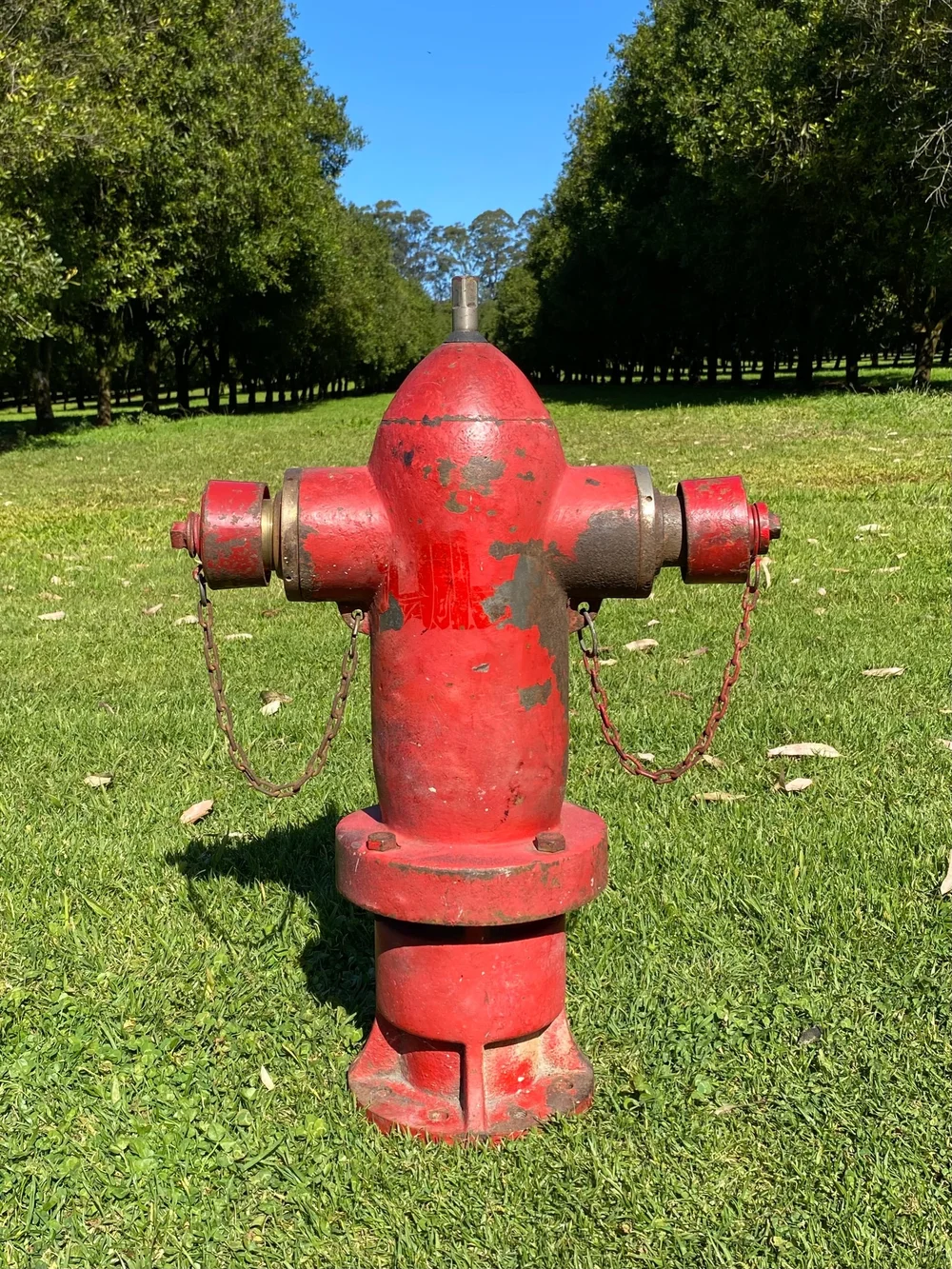 F6BAD350-6B5A-4767-85F7-0C2ADB34F280