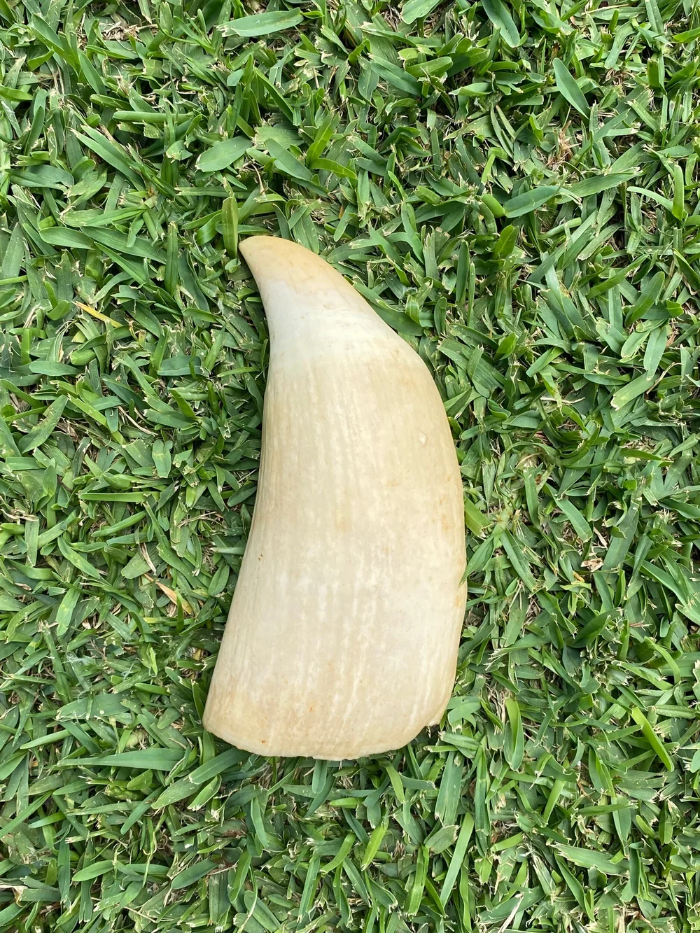 FB17E36A-5DA7-4B69-B5E3-33774B4D8DEE